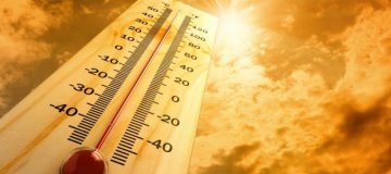 V avtomobilu ne puščajte otrok in živali